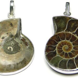 Ammonite Stone Pendant